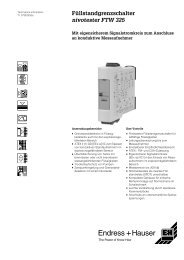 Nivotester FTW 325 (Technische Information)