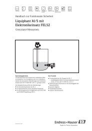 Liquiphant S Fdl 60 Fdl 61 Nivotester Ftl 670 Endress Hauser