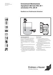 Liquiphant M/S, FEL 58 + Nivotester FTL 325 N - Endress+Hauser