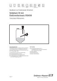 Soliphant M + FEM58 (Funktionale Sicherheit) - Endress+Hauser