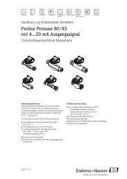 Proline Promass 80/83 mit 4...20 mA ... - Endress+Hauser
