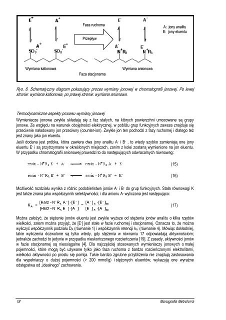 MONOGRAFIA Praktyczna chromatografia jonowa