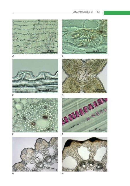 Mikroskopischer Farbatlas pflanzlicher Drogen