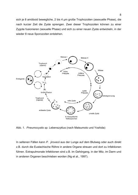 Direktor: Prof. Dr. med. habil. H. von Schwanewede