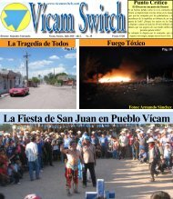 no 38, julio de 2010 - Vicam Switch