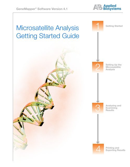 GeneMapper® Software Version 4.1 Microsatellite ... - Invitrogen
