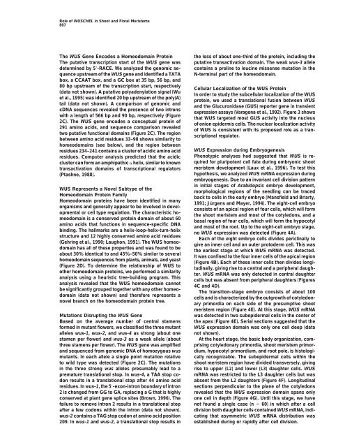 Role of WUSCHEL in Regulating Stem Cell Fate in the Arabidopsis Shoot Meristem