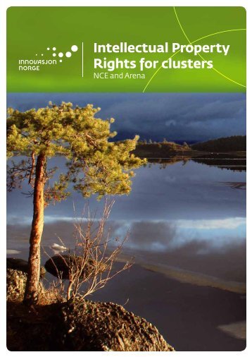 Intellectual Property Rights for clusters - Innovasjon Norge