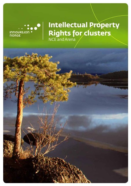 Intellectual Property Rights for clusters - Innovasjon Norge