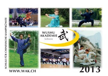 hier - Wushu Akademie Schweiz