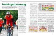 Trainingssteuerung - Professional Endurance Team