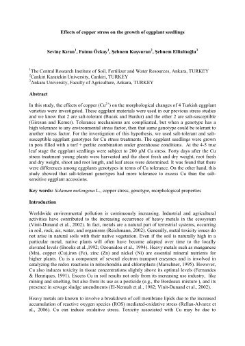 Effects of copper stress on the growth of eggplant seedlings