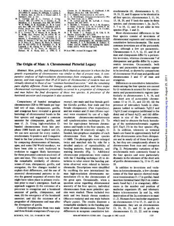 The Origin of Man: A Chromosomal Pictorial Legacy