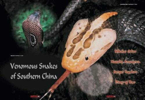 Venomous Snakes of Southern China - Reptilia