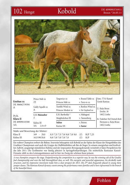 Katalog (pdf) - Trakehner Verband