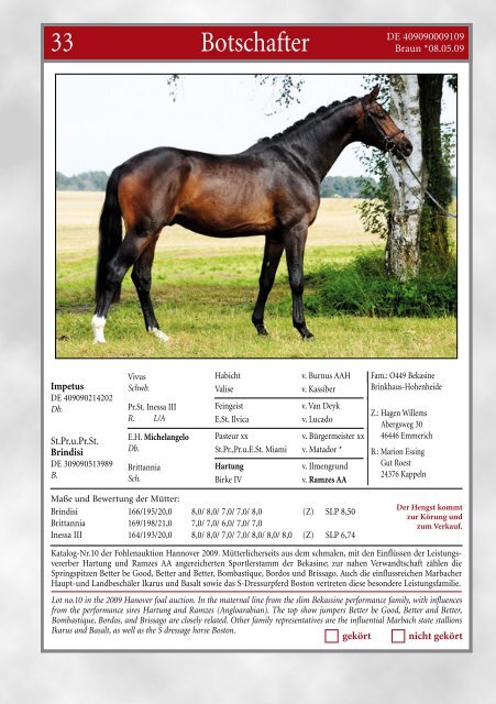 Katalog (pdf) - Trakehner Verband