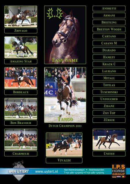 Katalog (pdf) - Trakehner Verband