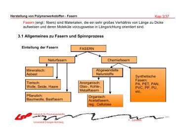 3.1 Allgemeines zu Fasern und Spinnprozess - Lehrstuhl für ...