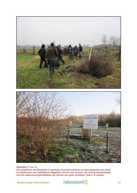 Eindverslag sleedoornpage - Natuurpunt