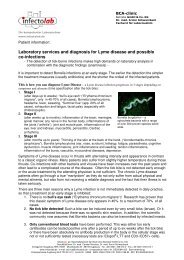 6b Infectolab Borreliose Labor und Diagnostik engl ... - BCA-clinic