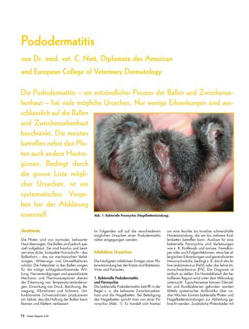 Pododermatitis - Tierärztliche Spezialistenklinik