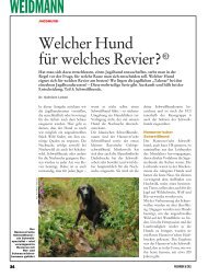 Teil 3: Schweißhunde - Weidwerk