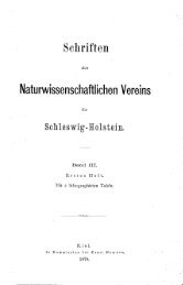 Zur Kenntniss der Zelle und ihrer Theilungs-Erscheinungen