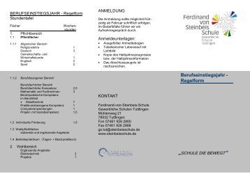 Berufseinstiegsjahr - Ferdinand-von-Steinbeis-Schule - Gewerbliche ...