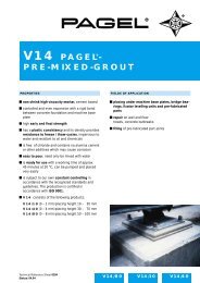 V14 PAGEL®- PRE-MIXED-GROUT - Pagel USA