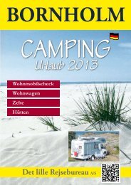Angebot - camping Bornholm