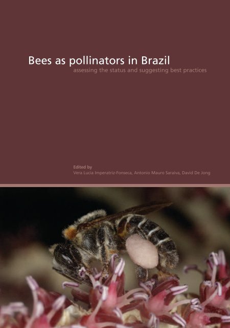 Bees as pollinators in Brazil - USP