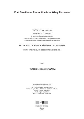Texte intégral / Full text (pdf, 3 MiB) - Infoscience - EPFL