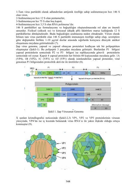 Hayvan Sağlığı Araştırmaları 2009 Yılı Program - Tagem