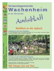 Amtsblatt vom 23.07.2010 - Verbandsgemeinde Wachenheim