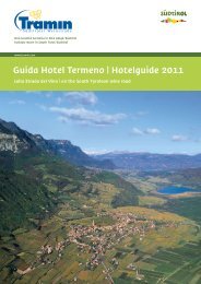 Guida Hotel Termeno | Hotelguide 2011 - Tramin