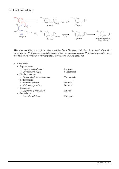 Vorlesung Pharmazeutische Biologie Derivate des Stickstoff ...
