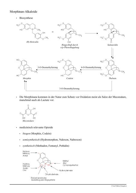 Vorlesung Pharmazeutische Biologie Derivate des Stickstoff ...