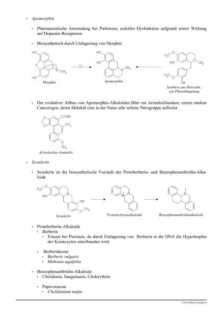 Vorlesung Pharmazeutische Biologie Derivate des Stickstoff ...