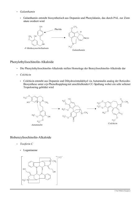 Vorlesung Pharmazeutische Biologie Derivate des Stickstoff ...