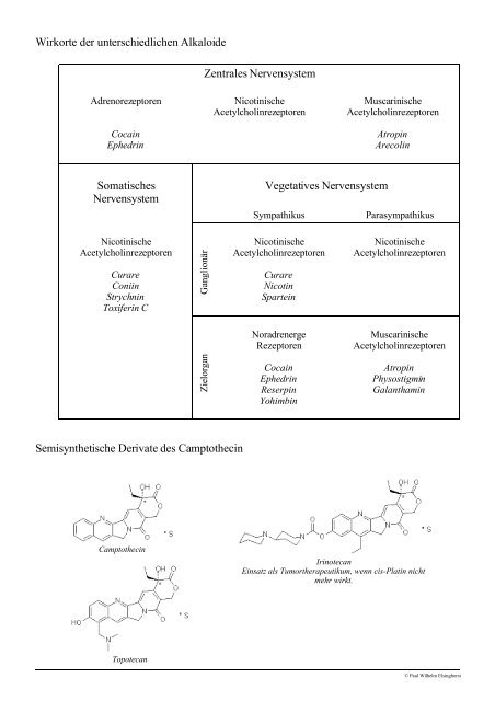 Vorlesung Pharmazeutische Biologie Derivate des Stickstoff ...