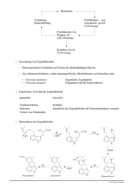 Vorlesung Pharmazeutische Biologie Derivate des Stickstoff ...