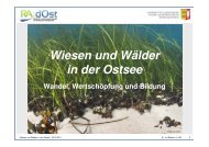 Wiesen und Wälder in der Ostsee - RADOST