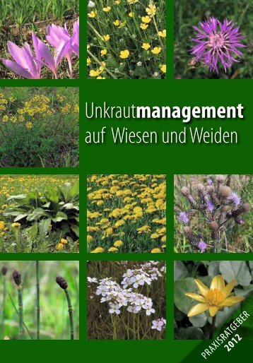 Unkrautmanagement auf Wiesen und Weiden - Bayerische ...