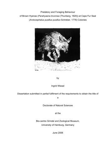 Predatory and Foraging Behaviour of Brown Hyenas (Parahyaena ...