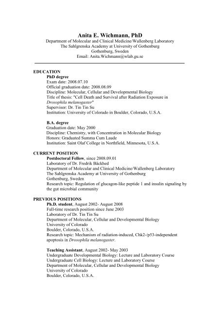 Appendix B — CV, Anita Wichmann