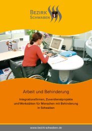 Arbeit_u_Behinderung(1).pdf