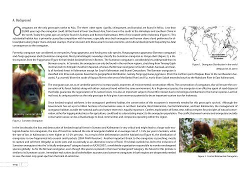 Strategi dan Rencana Aksi Konservasi Orangutan Indonesia ... - usaid