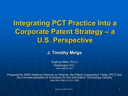 Integrating PCT Practice Into a Corporate Patent Strategy – a U.S. ...