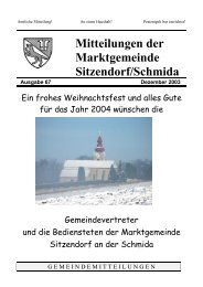 Gemeindemitteilungen 2003-12 (450 kB) - .PDF - Sitzendorf an der ...