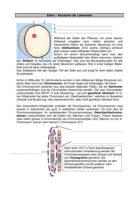 Mit Humor die Genetik verstehen Masterarbeit - Sekundarstufe I